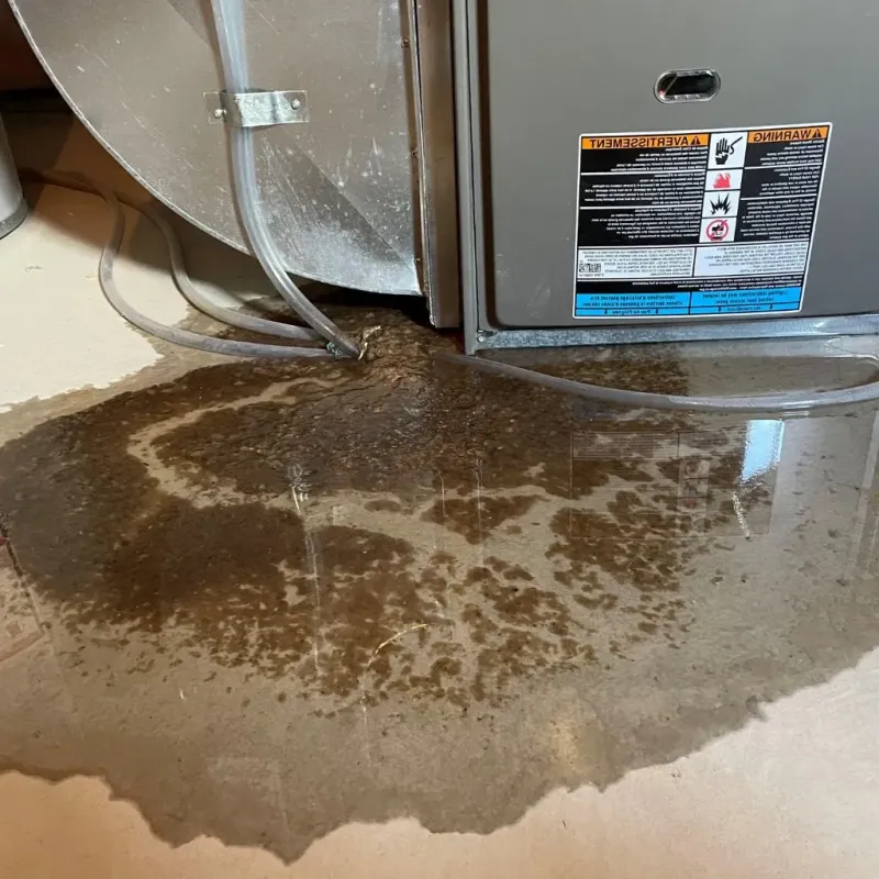 Pipe Burst and Leak Restoration in Kiawah Island, SC